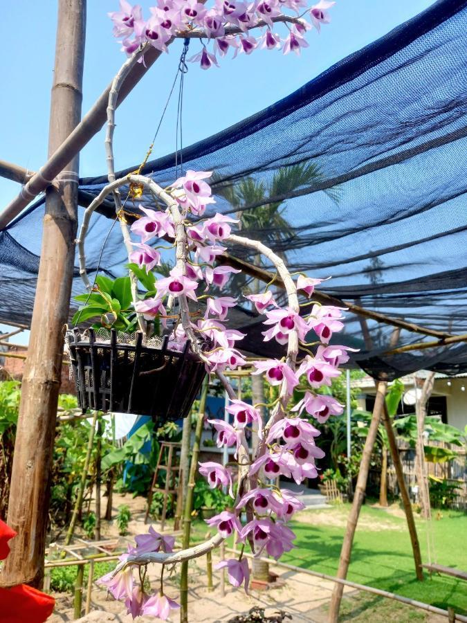 Ngoc An Bang Villa Exteriér fotografie